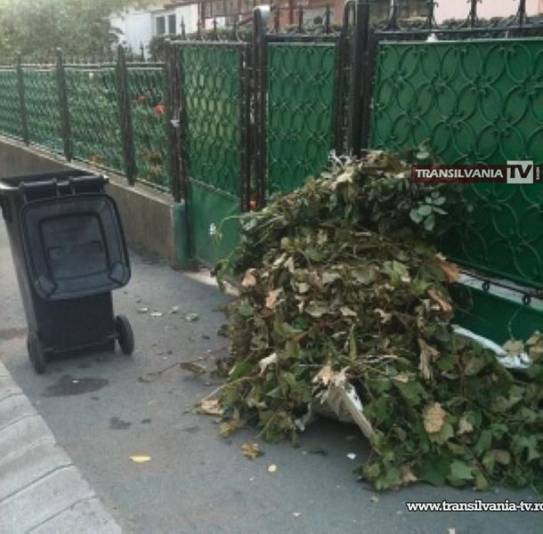 Acțiunea „curățenie de toamnă” se prelungește până sâmbătă