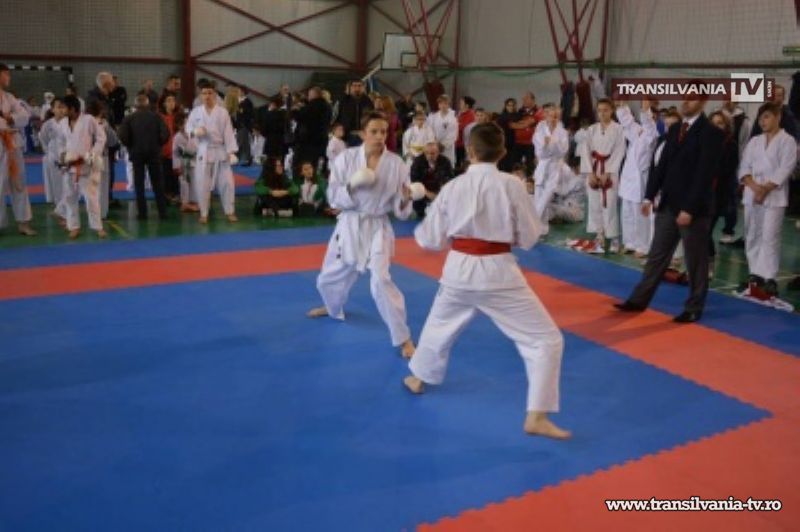 Karateka de la CSM Satu Mare, locul I la Cupa Polipol de la Foieni