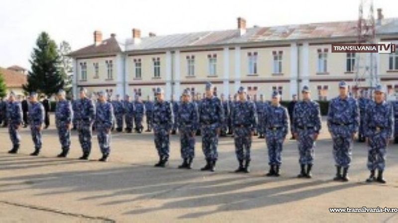Trei elevi-studenți au făcut practică la Jandarmeria Satu Mare
