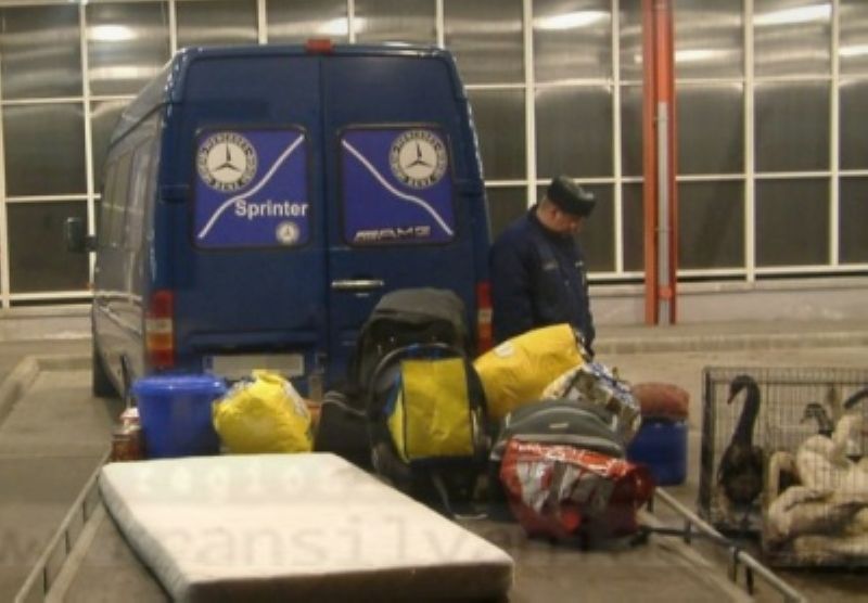 Prins la graniță cu nouă lebede