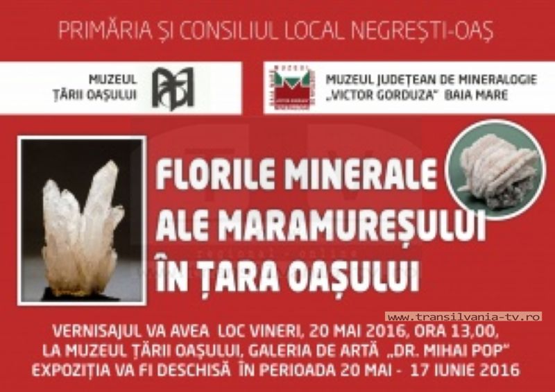 Florile minerale ale Maramureşului în Ţara Oaşului