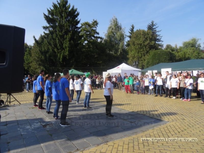 Peste 200 de participanți la Festivalul Voluntariatului