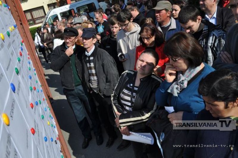 Satu Mare pe locul 7 in topul judeţelor cu cele mai multe oportunităţi de angajare