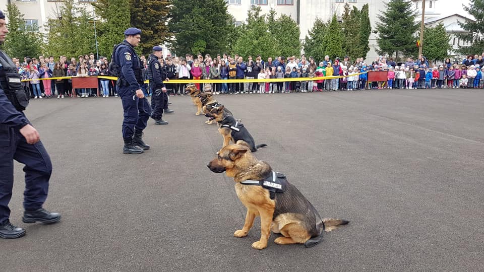 Ziua Porţilor Deschise, la Jandarmeria Maramureș