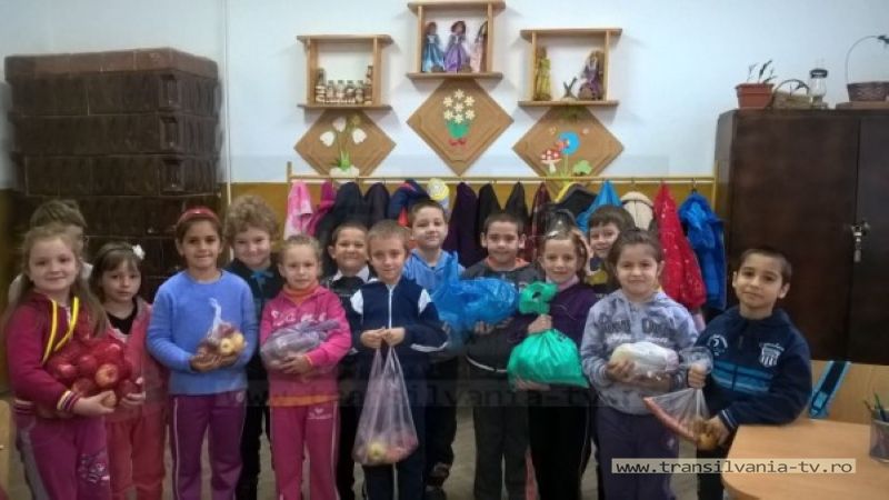 Mii de kilograme de fructe și legume donate de elevii sătmăreni familiilor sărace