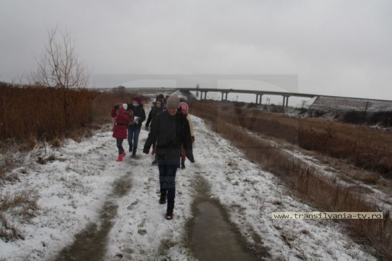 APM Satu Mare a numărat păsările sălbatice din județ