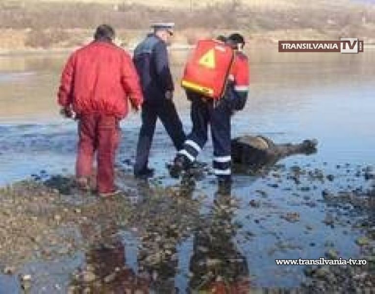 Bărbat din Cehal găsit mort în pârâul Valea Cehalului