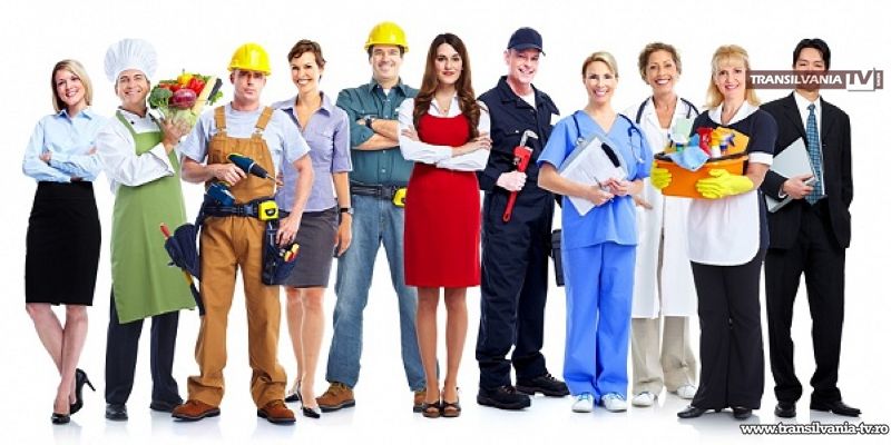 Peste 1.000 locuri de muncă în Spațiul Economic European