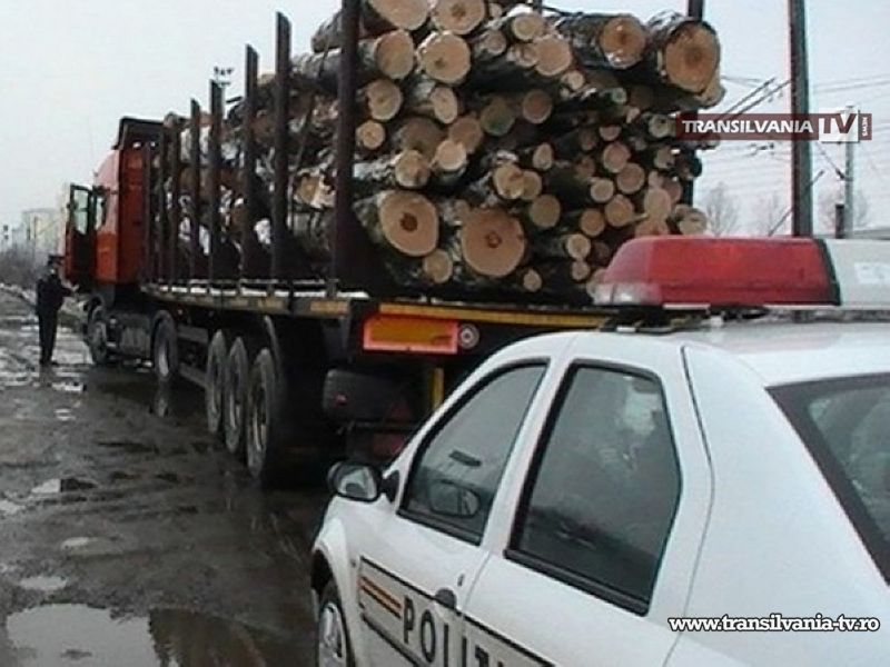 Prins în timp ce transporta ilegal material lemnos