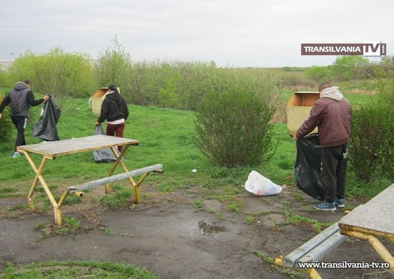 Asistații social, puși la muncă în folosul comunității