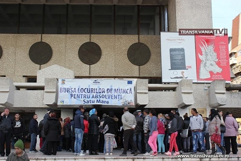 AJOFM Satu Mare organizează Bursa Locurilor de Muncă pentru absolvenți
