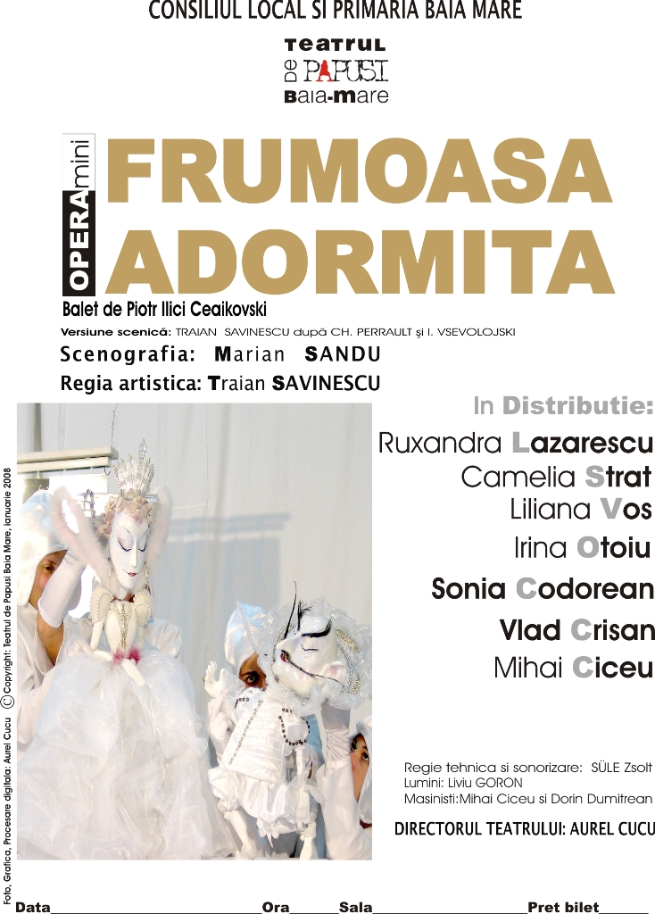 Programul spectacolelor Teatrului Municipal Baia Mare în perioada 13–19 ianuarie