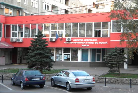 335 locuri de muncă vacante în județul Bihor