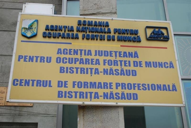 Locuri de muncă vacante în judeţul Bistriţa-Năsăud