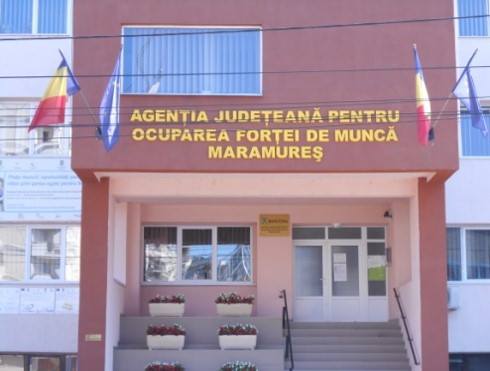 2,10 % – rata şomajului înregistrat în evidenţele AJOFM Maramureș la 30 iunie 2023