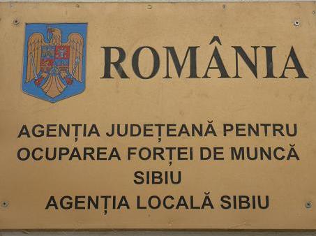 AJOFM Sibiu organizează selecție pentru studenții care doresc să lucreze ȋn Germania