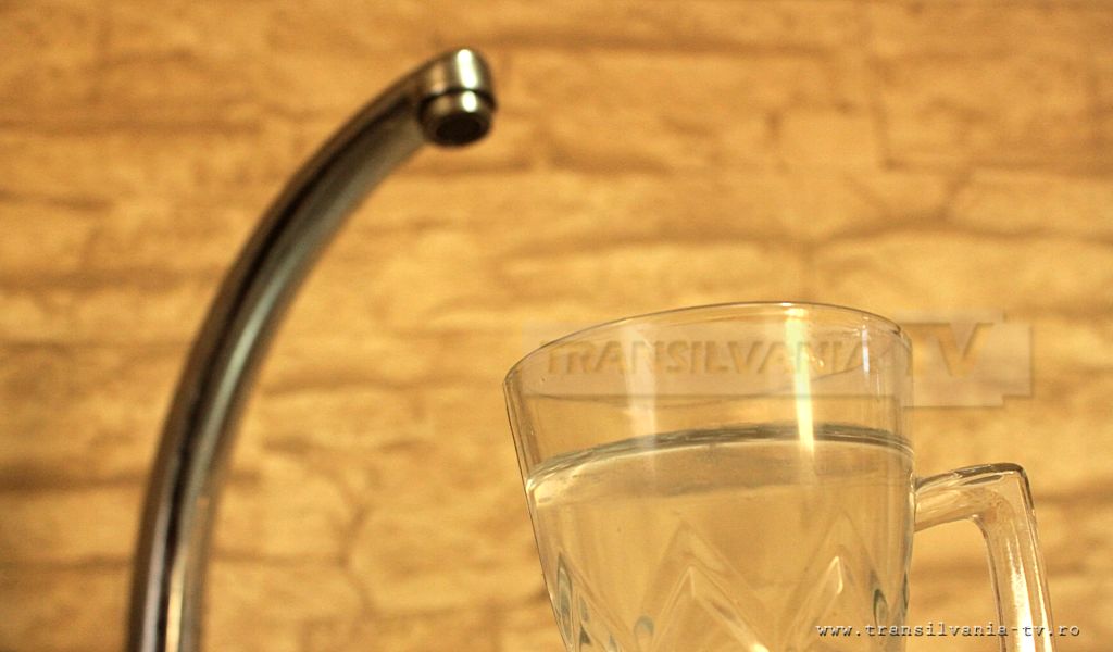 ONG-urile, îngrijorate de contaminarea apei de la Beba Veche și împrejurimi
