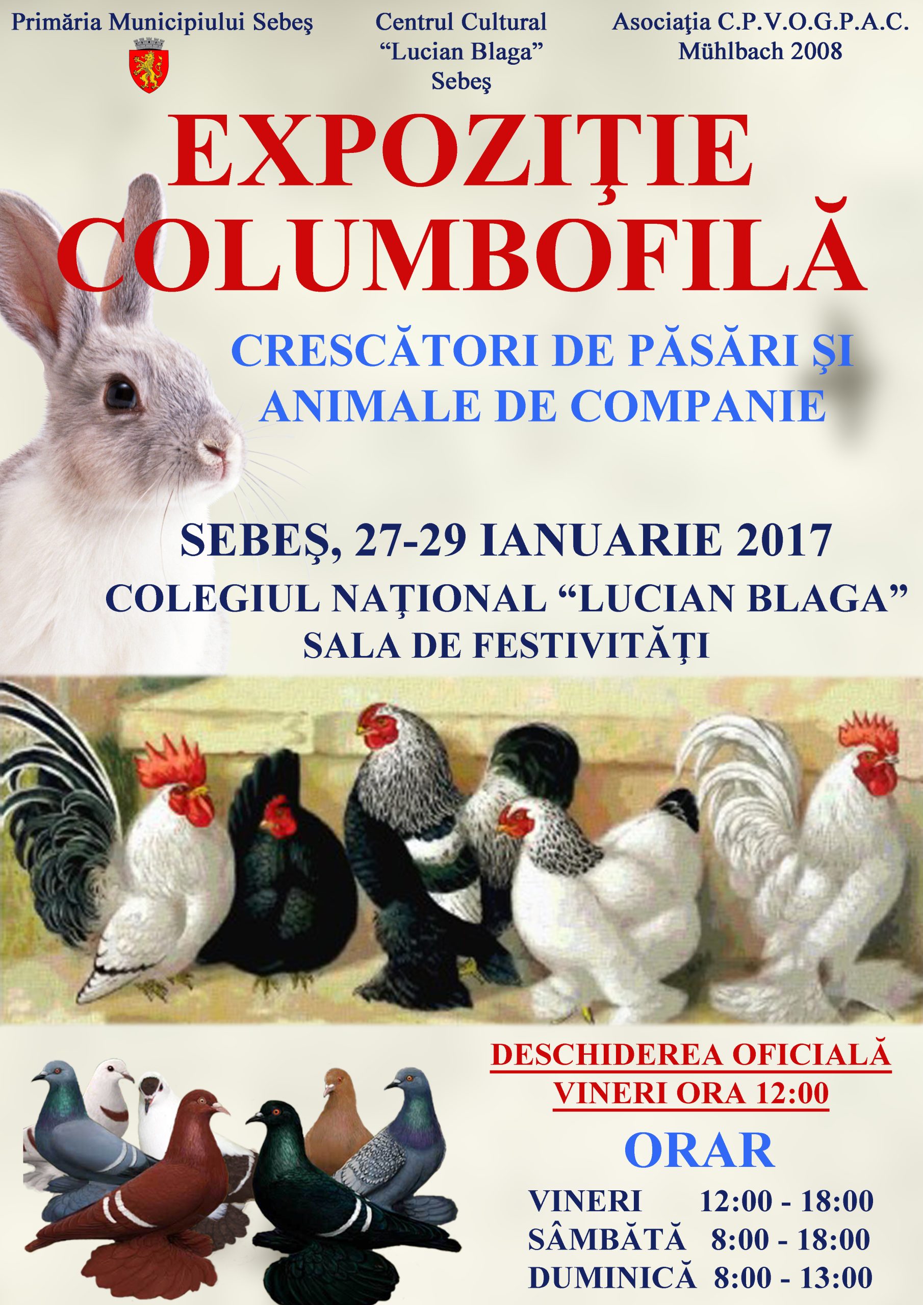 EXPOZIŢIE COLUMBOFILĂ, LA SEBEŞ