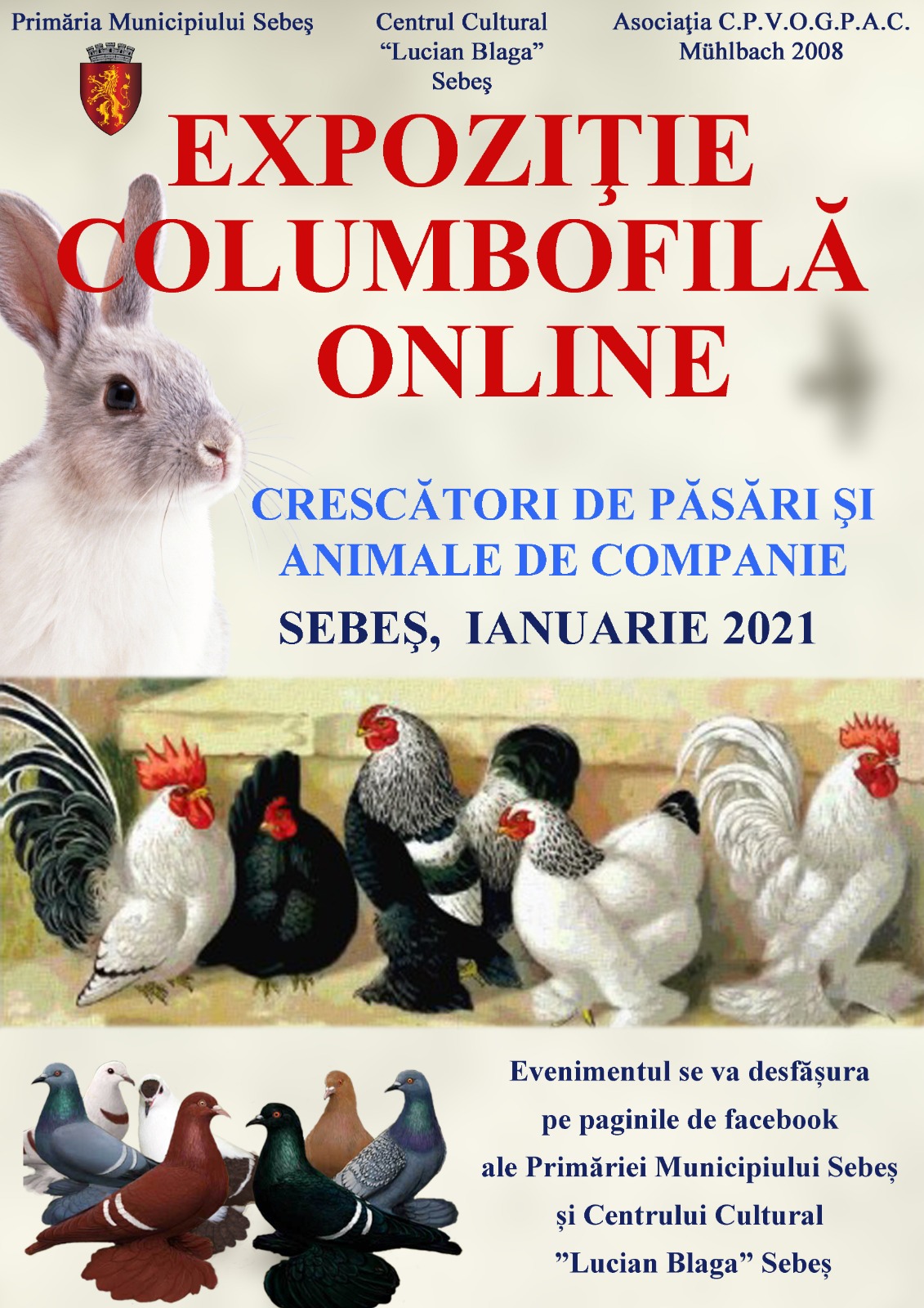 Expoziția columbofilă de la Sebeș, ajunsă la a XIV-a ediție, se desfășoară, în acest an, în mediul online
