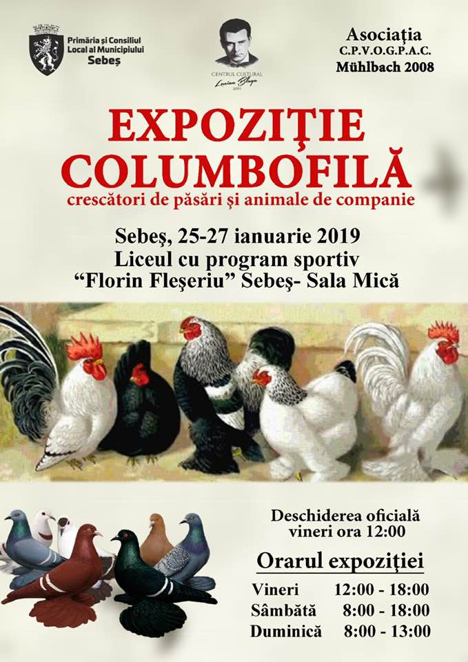 EXPOZIŢIE COLUMBOFILĂ, LA SEBEŞ