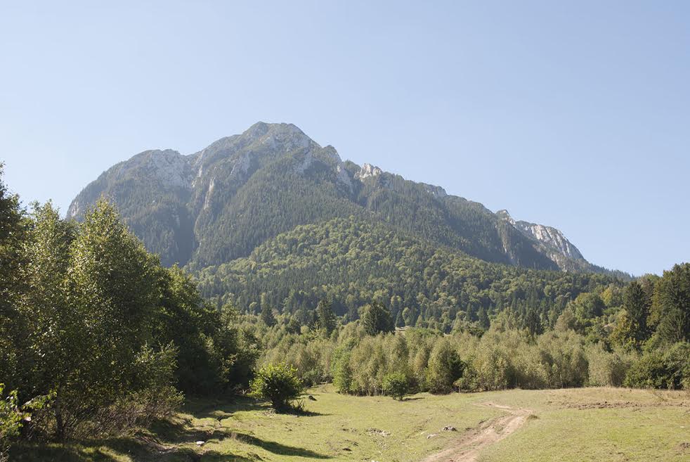 Planuri îndrăznețe ale Asociației Drumeții Montane pentru anul viitor