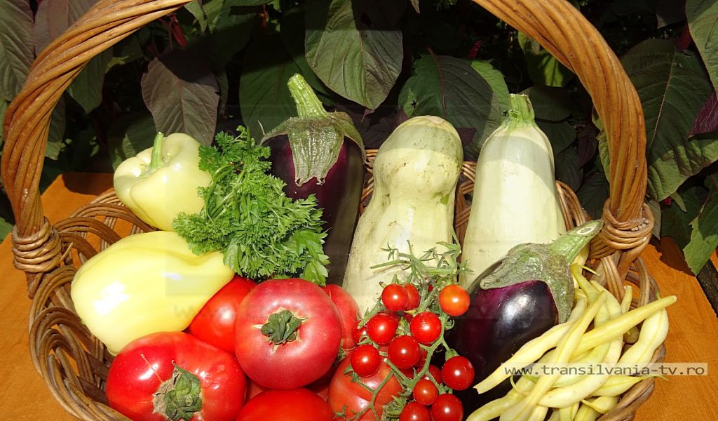 Asociația Stea dă startul la comenzi pentru coșurile de legume (Galerie Foto)