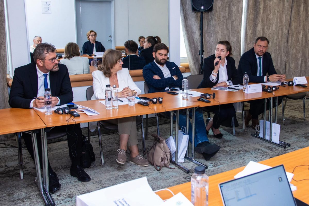 Energia geotermală, în proiectele viitoare ale orașului Negrești-Oaș