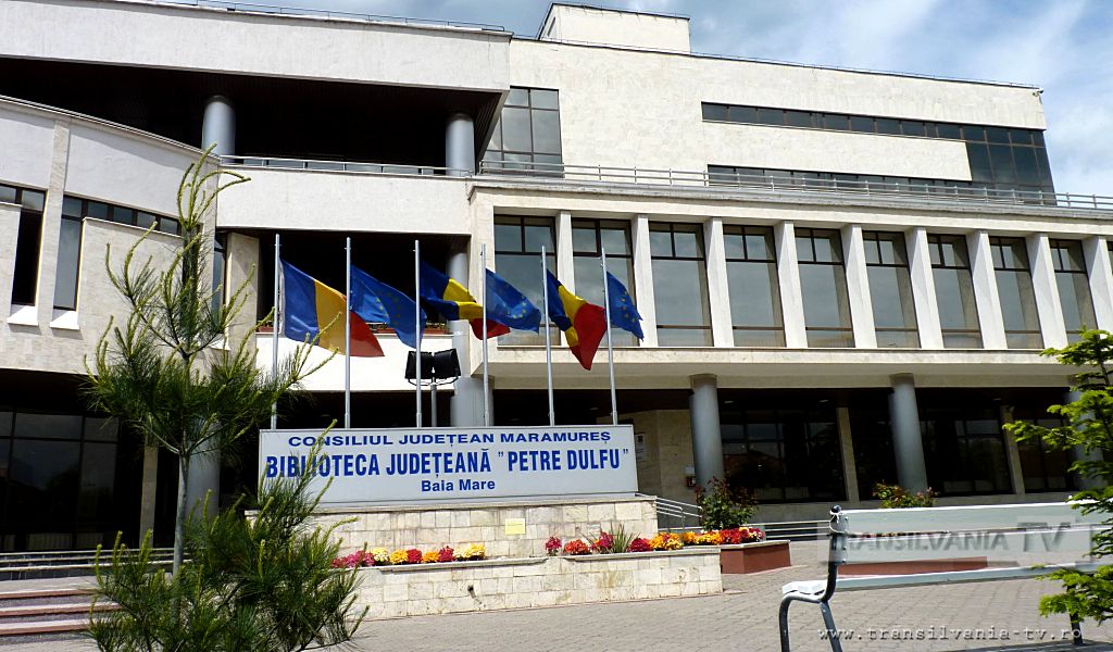 LECTURA – o pasăre tot mai rară în aceste vremuri, din păcate, în special în rândul tinerilor