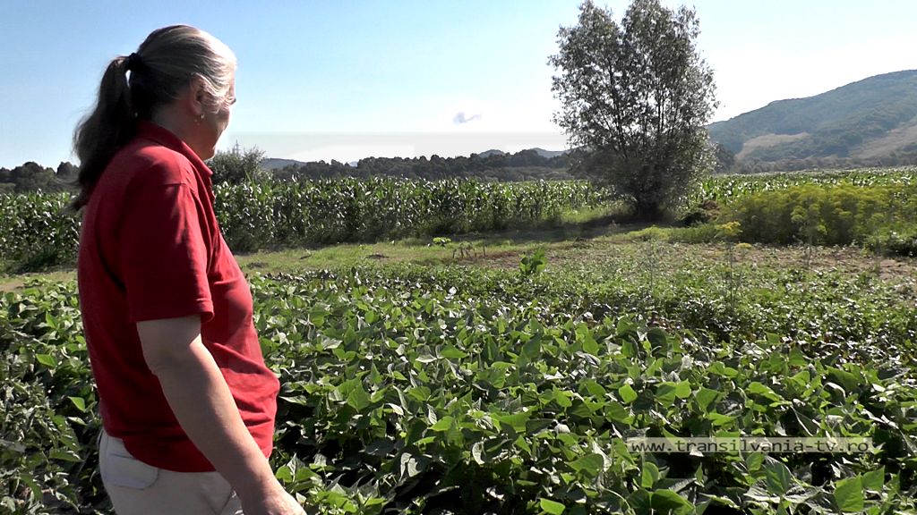 Pasiune şi voinţă duse la extrem – agricultură la 100 de km! (VIDEO-Galerie FOTO)