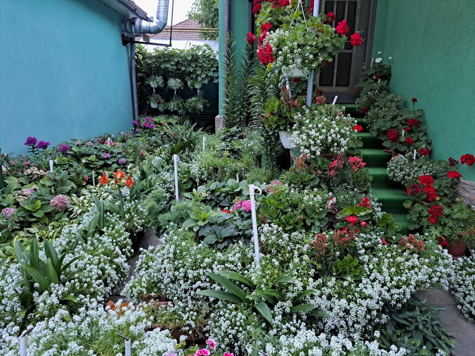 Concursul „Bistrița Verde” și-a desemnat câștigătorii din acest an