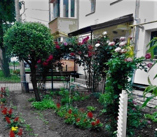 A fost lansat concursul „Bistrița verde!”