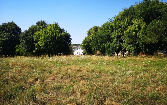 Un parc de peste 1,5 hectare va fi amenajat în Cartierul Tineretului din Oradea