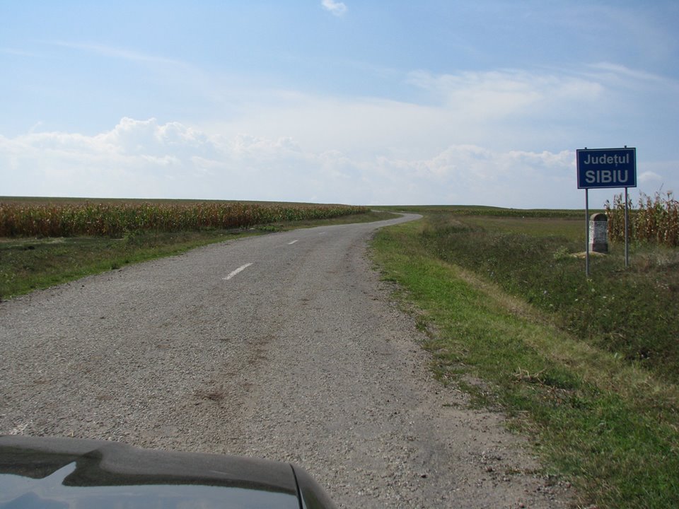 Licitație pentru proiectarea drumului județean DJ 107B Păuca-Slimnic