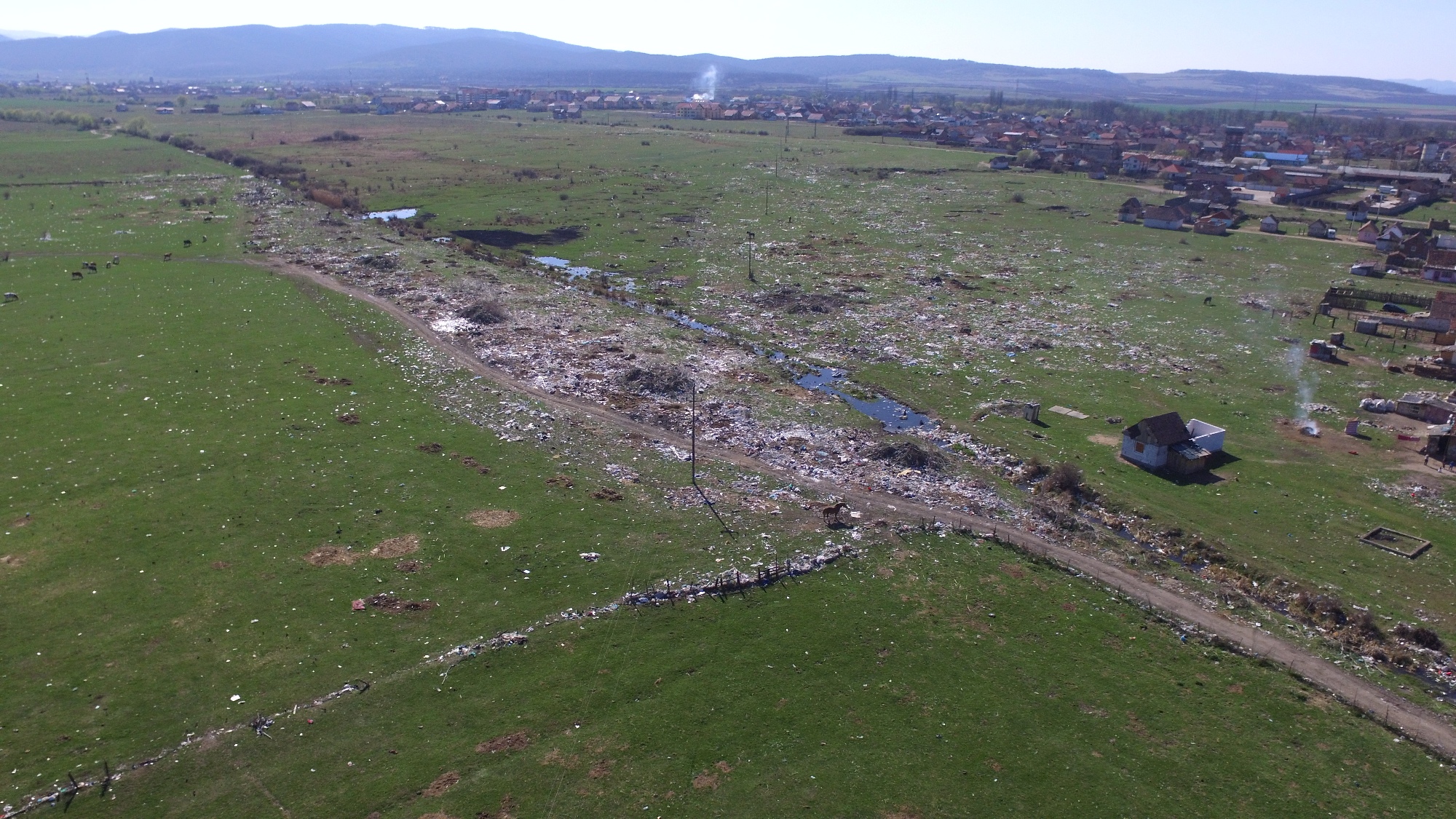 PRIMARUL DORIN NISTOR DEMAREAZĂ CEA MAI MARE CAMPANIE DE ECOLOGIZARE