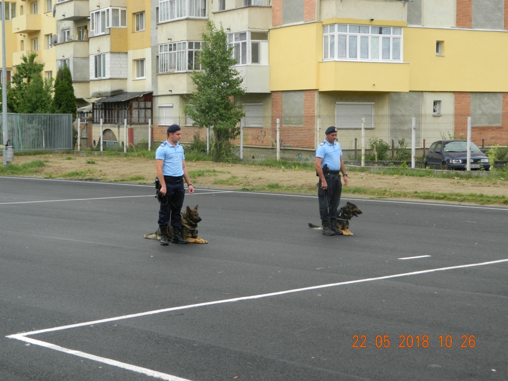 Câinii de serviciu ai jandarmilor maramureșeni, prezentați elevilor din Baia Mare