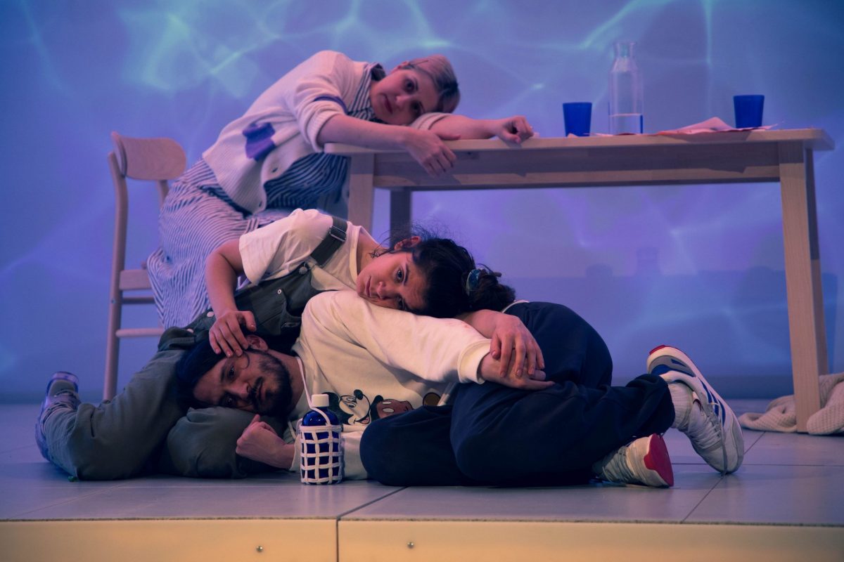 O nouă premieră la Teatrul Municipal Baia Mare