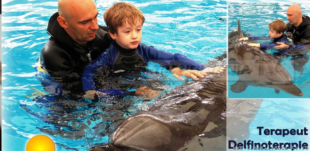 Program inedit realizat de un psiholog român: Delfinoterapie și terapie canină pentru copiii cu autism