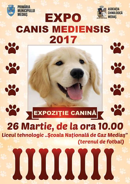 Municipiului Mediaş găzduiește expoziţia canină ,,Expo Canis Mediensis”