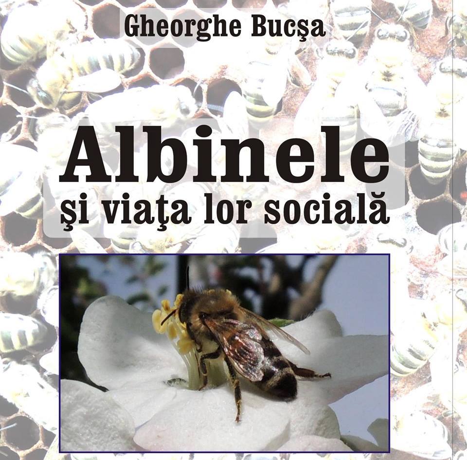 Avrig: Lansare de carte „Albinele și viața lor socială”, de prof. Gheorghe Bucșa