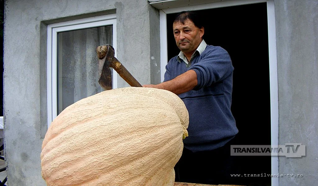 Dovleac gigant lângă horincia din Gostila (VIDEO)