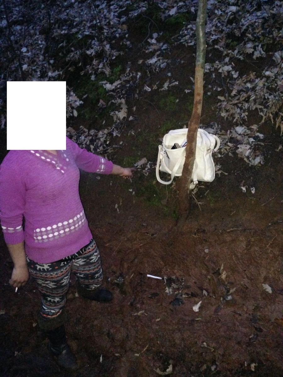 Jandarmii din Jibou au prins în flagrant două persoane care au furat o poșetă