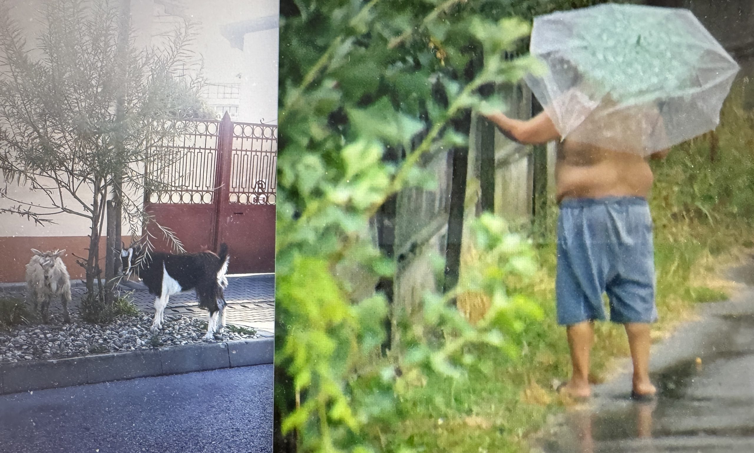 IPJ ALBA SE IMPLICA IN SCANDALUL DE LA SCOALA POSTLICEALA SANITARA DIN ALBA IULIA!