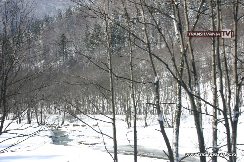 Invitaţie la spectacolul de Crăciun „Plutind pe fulgi de nea”