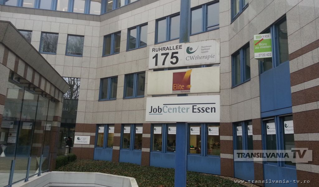 REPORTAJ: Imigranții și caii verzi pe pereți (sau) în căutarea colacilor de pe garduri!