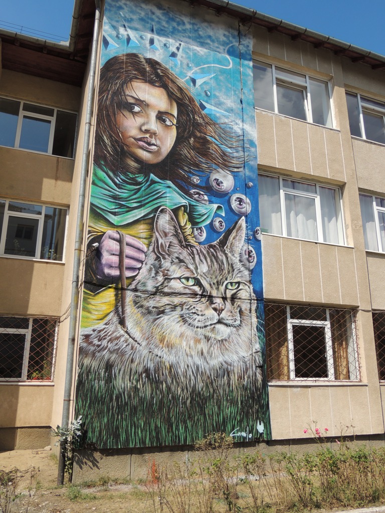 Sibiu: International Street Art Festival a schimbat aspectul a șase școli și licee