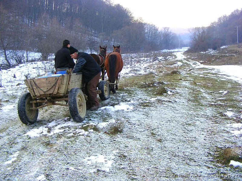 Satul cu trei suflete – Revelion în pustiu (VIDEO-Galerie FOTO)