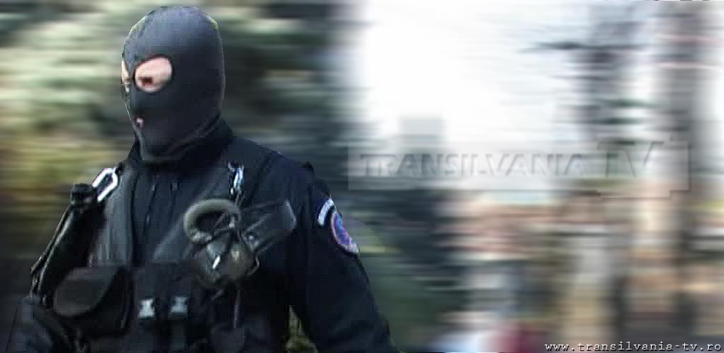 Percheziții DNA în județul Hunedoara