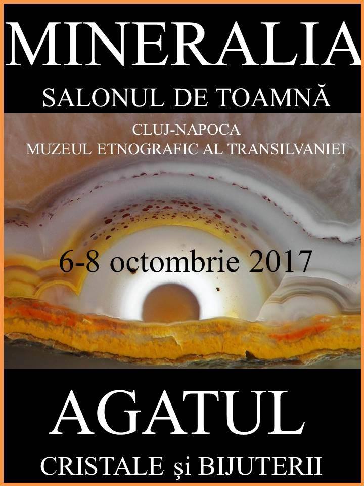 Salonul de toamnă Mineralia de la Cluj Napoca, sub semnul agatului