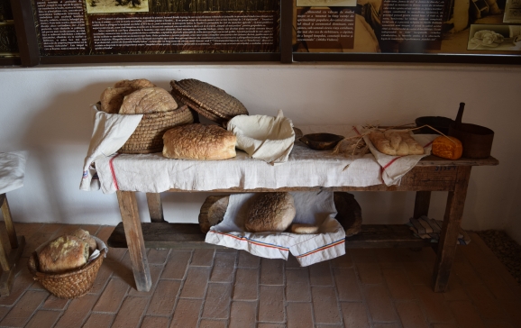 Expoziţii la Muzeul Orașului Oradea – Complex Cultural