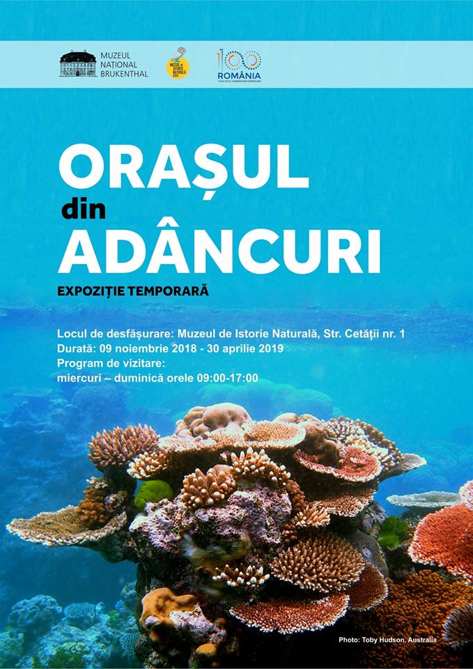 Muzeul de Istorie Naturală Sibiu organizează expoziția „Orașul din adâncuri”